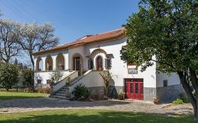 Quinta Fonte Cova - Minho'S Guest